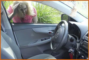 Village Locksmith Store Waukegan, IL 847-496-0842 - 15-emergency-lockout